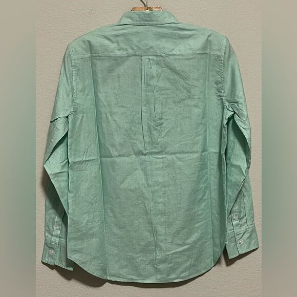 Everlane NWT Long Sleeve Button Down Oversized 100% Cotton Size 2 Striped Mint - Picture 4 of 8